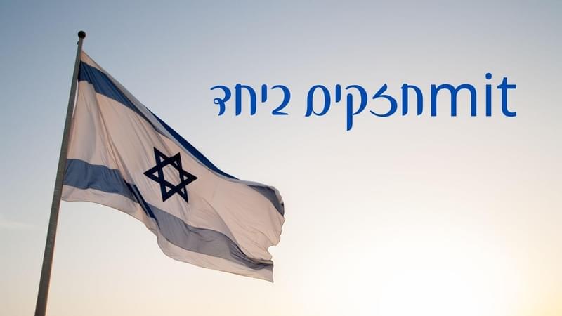 mitחזקים ביחד: חתונה בצל המלחמה title