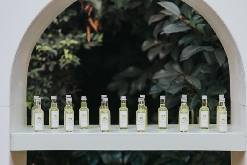 צילום: שוקו מגנטים