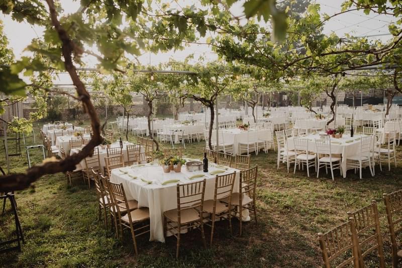 ארגון וניהול אירועים - לפני שהכל מתחיל: הרגעים שהופכים את היום שלכם לבלתי נשכח