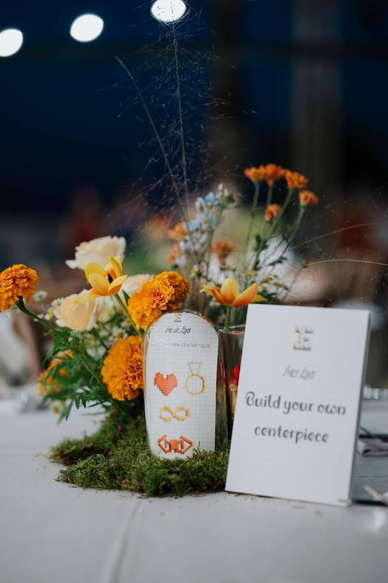 צילום: טל גיגי