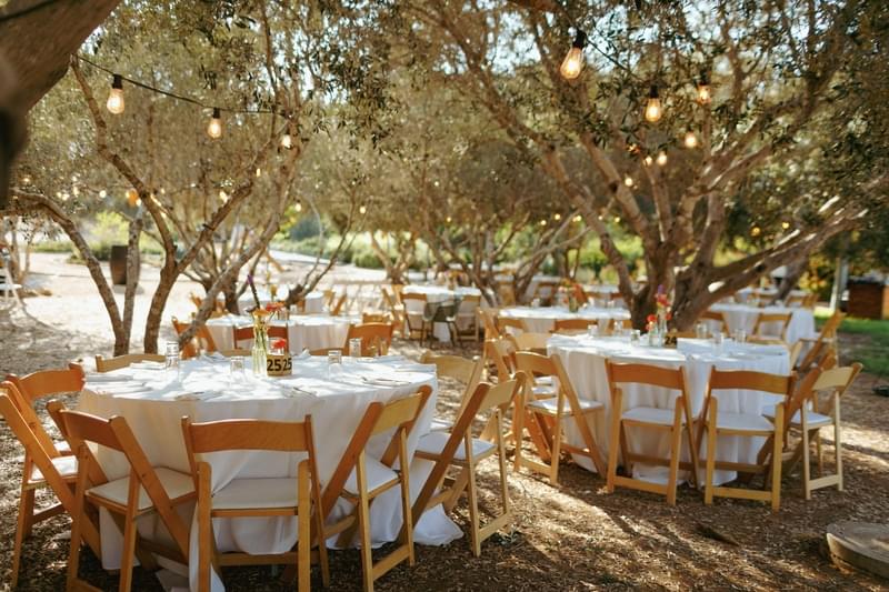 ארגון וניהול אירועים - איך מתחילים לתכנן חתונה?