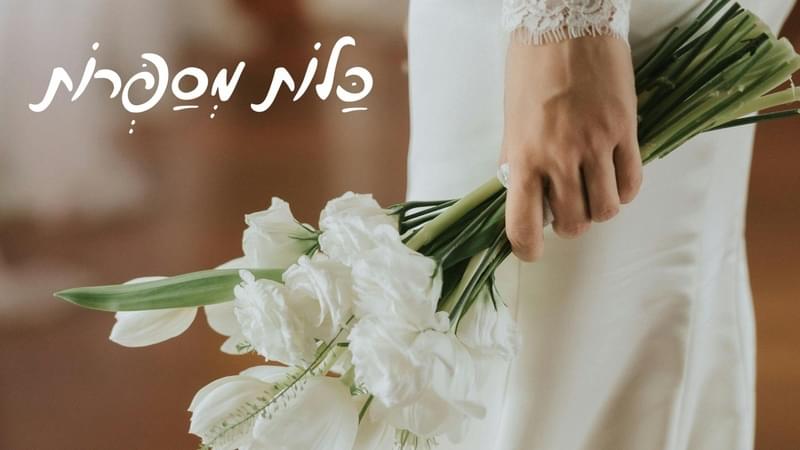 טיפים, התלבטויות והחלטות: הרגעים שמעצבים את הדרך לחתונה